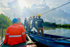 Aksi Sigap PLN Babel: Pemeliharaan Jalur SUTT Suge–Dukong Perkuat Kontinuitas Kelistrikan Belitung
