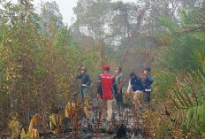 Puluhan Hektare Taman Nasional Maras Terbakar, Petugas Upayakan Pemadaman