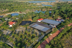 Dari Reklamasi hingga Mangrove, PT Timah Tbk Dorong Pemulihan Lingkungan Berkelanjutan