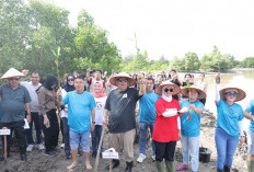 Gubernur Hidayat Arsani Pimpin Aksi Sosial dan Penanaman Mangrove di Pesisir Pantai Ketapang