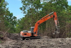 Tambang Timah Ilegal Rambah Kawasan Hutan Produksi Gunung Muda, Ditreskrimsus Turun ke Lokasi