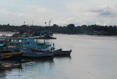 Nelayan Keluhkan Limbah Tambang Tutup Jalur Perahu, Minta Ditertibkan 