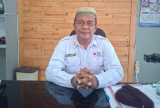 Kualitas Udara Memburuk, HAKLI Babel Imbau Warga Sungailiat Waspadai Kabut Asap