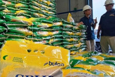 Babel Perkuat Stok Jaga Cegah Harga Beras Naik