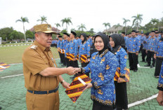 Gubernur Babel Hidayat Arsani Serahkan 2.869 SK PPPK Paruh Waktu