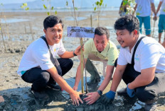Peringati Hari Kesaktian Pancasila, PLN UPK Tambora Bersama Pemkot Bima Tanam 600 Mangrove