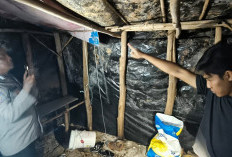 Pegawai Kelurahan di Belinyu Ditemukan Tewas Tergantung, Tinggalkan Surat Wasiat untuk Sang Ibu