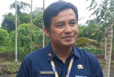 Produksi udang vaname Bangka Tengah capai 1.794,65 ton