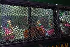 Dua Eks Petinggi PT Timah dan 8 Bos Timah Bangka Selatan Ditahan  