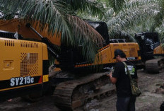 Sudah 23 Unit Alat Berat Disita Satgas PKH dari Hutan Lubuk yang Luluh Lantak 