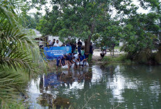 PT Timah Tbk Dorong Pemanfaatan Kolong Eks Tambang Jadi Ekosistem Produktif
