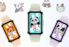 Huawei Band 11 Series Tersedia di Indonesia, Harga Mulai Rp500 Ribuan 