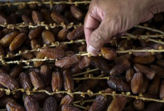 Bagus untuk Olahraga, Ini Waktu Makan Kurma yang Tepat Menurut Ahli Gizi