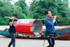 Restocking Cumi Jadi Bagian Rehabilitasi Laut, PT Timah Tebar Ratusan Ribu Anakan Cumi di Perairan Bangka