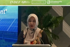 Kemenko Ekonomi: Transisi Energi Bagian Integral Pertumbuhan Nasional