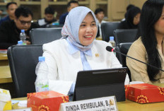 Senator Dinda Ingatkan Sensus Ekonomi 2026 Jangan Sekadar Jadi Arsip Statistik