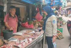 Akibat Cuaca Ekstrem, Harga Ikan di Pasar Toboali Alami Kenaikan, Tenggiri Capai 65 Ribu Per Kilogram 