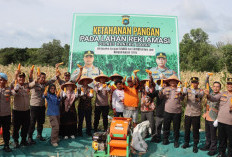 Polres Babar Sulap Lahan Gersang Jadi Kebun Jagung