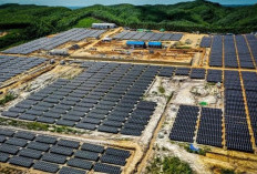 Kemerdekaan, Kedaulatan Energi, dan Saklar Listrik