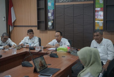 Daring Meeting Room Bersama Kemendagri, Algafry Rahman Suarakan Isu Strategi Daerah 