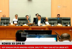 PT Timah Tbk Minta Dukungan Komisi XII DPR RI untuk Perkuat Tata Kelola Pertimahan Nasional