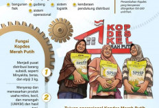 1.061 Kopdes Merah Putih Beroperasi