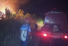 Lahan Terbakar di Desa Buluh Tumbang, Api Nyaris Masuk Permukiman