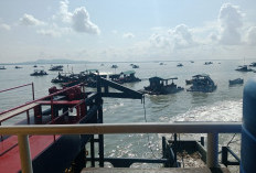 Ratusan TI Selam Membandel, Kembali Merambah IUP PT Timah Sukadamai, Katanya Ada Beking