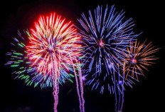 Ketahui Negara Pertama dan Terakhir Merayakan Tahun Baru 2025