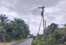 PLN UP3 Bangka Optimalkan Pemeliharaan Jaringan, Listrik Andal Jadi Prioritas Jelang Ramadan