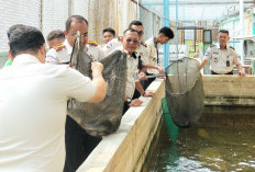 Panen 70 Kg Lele, Lapas Narkotika Pangkalpinang Dorong Warga Binaan Mandiri dan Dukung Ketahanan Pangan