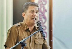 PPPK Paruh Waktu Ngeluh Belum Gajian di Medsos, Bupati Fery Janji Dibayarkan Senin Depan