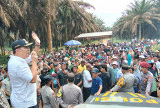 Akhirnya PT GML Kabulkan Tuntutan Masyarakat: Plasma Inti 20% Bagi 8 Desa, Tapi Ganti Rugi 30 Tahun Tak Jelas