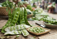 Kamu Suka Petai? Ini 5 Manfaatnya untuk Kesehatan