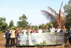 Kabupaten Belitung Tanam 196 Bibit dalam Peringatan HMPI 2025 di Desa Pegantungan