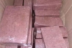 UMKM Pangkalpinang Ekspor Terasi ke Australia