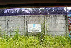 Ini Penampakan Gudang Diduga Asal Timah Balok yang Diamankan oleh Satlap Tricakti 