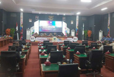 Perda BUMD Beltim Diubah, Seleksi Direksi Segera Dibuka