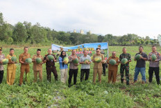 Polres Bangka Barat Sulap Lahan Kritis Menjadi Kebun Produktif