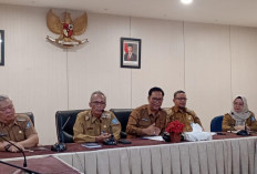 Pemprov Babel Tegaskan Prosedur Pengadaan Mobiler Rumdin Wagub 2025 Tidak Sah