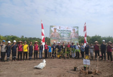 PT TIMAH dan Polres Bangka Barat Kolaborasi Kelola Lahan Eks Tambang Lewat Penanaman Pohon Produktif