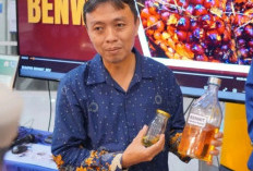 Menyalakan Negeri dari sawit