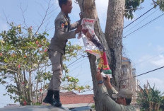 Satpol PP Bangka Kembali Copot Spanduk Rokok Tak Berizin dan Melanggar Zonasi 