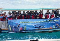 Tak Hanya Artificial Reef, PT Timah Juga Tenggelamkan Atraktor Cumi pada Tahun 2025 di Belitung Timur    