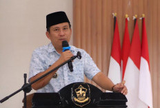 Pemkab Bangka Akan Pertahankan PPPK, Ini Strategi Bupati Fery