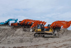 Pengusaha Her Disebut Pemilik 14 Alat Berat yang Diamankan Satgas PKH di Sarang Ikan dan Nadi