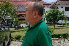 Kian Terang, Para Bos Alat Berat Kompak Ungkap Peran Herman Fu di Tambang Ilegal Hutan Lubuk