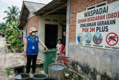 ​Tren DBD di Bangka Meningkat, Dinkes: Waspadai Genangan Air di Tengah Cuaca Tak Menentu