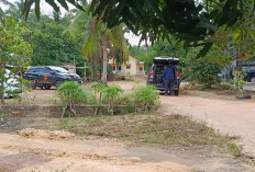 Bareskrim Geledah Kediaman Bos Toboali Terkait Dugaan Jejak Komunikasi Penyelundupan di Malaysia 