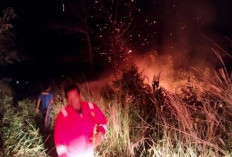 Karhutla Kembali Ancam Belitung, Api Nyaris Merambat ke Perumahan
